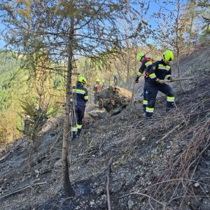 WaldbrandRein (24)